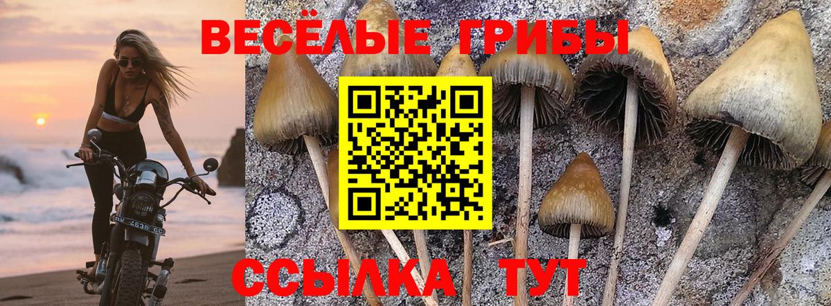 Протвино  цены наркотик  Вход с VPN  Псилоцибиновые грибы Magic Shrooms 
