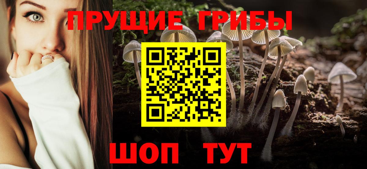 Галлюциногенные грибы прущие грибы Протвино